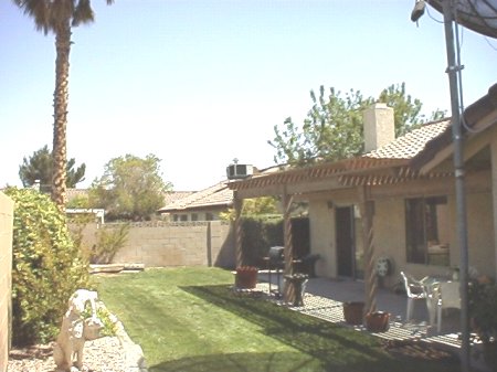 Back Yard Looking East